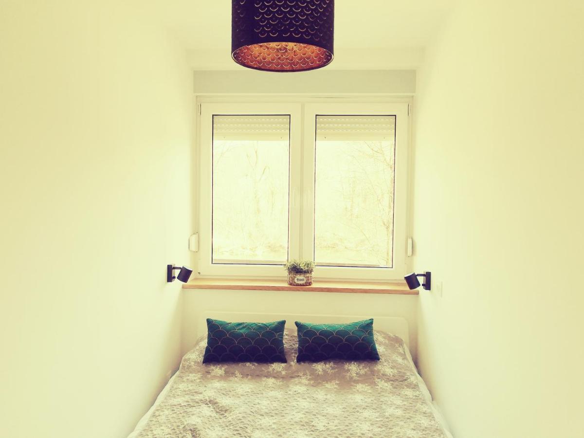 Mreznicki Mozaik Apartment Duga Resa Exterior foto